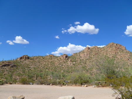 Starr Guckert's album, Arizona Desert, Summer 2010