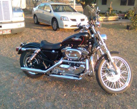 My new Harley