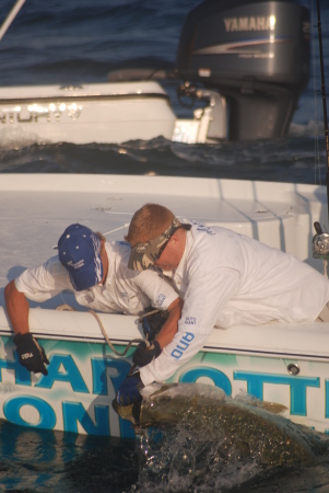 2008 PTTS Tarpon Tournament