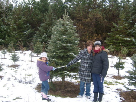 Our Tree 2008