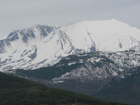 Evan Williams' album, Life with Lucille Carol &amp; Saved at Mt St Helens