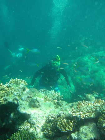 Great Barrier Reef