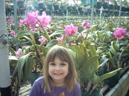 Sophie at the Orchid farm in Addison