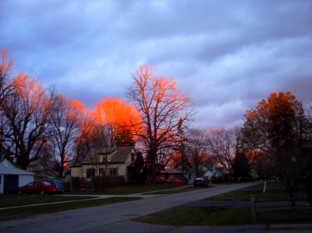 The western sunset on the Eastern trees 2008