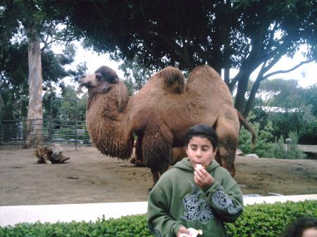 Dallas at the SD Zoo