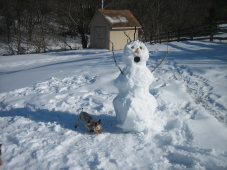 Mr. Snowman