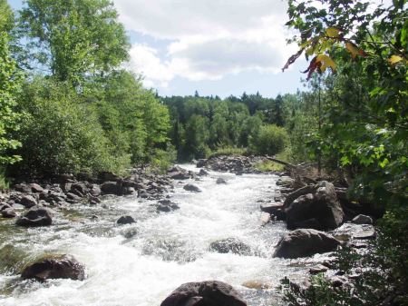 Quetico River rapids