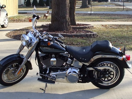 harley 087