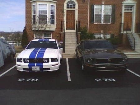 His and Her Mustangs