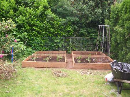 Raised Bed Garden