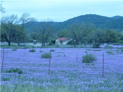 Hill Country Ride 2010