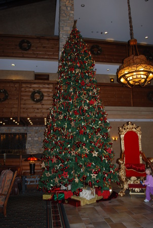 the christmas tree at edelweiss