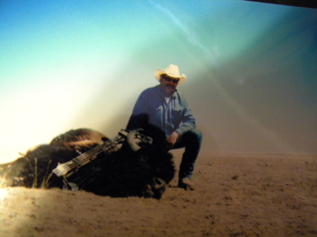 new mexico archery buffalo