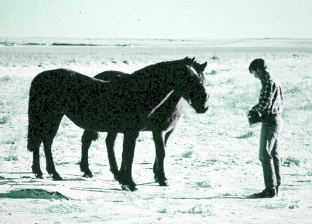 Tim Webb tending horses Winter 1973