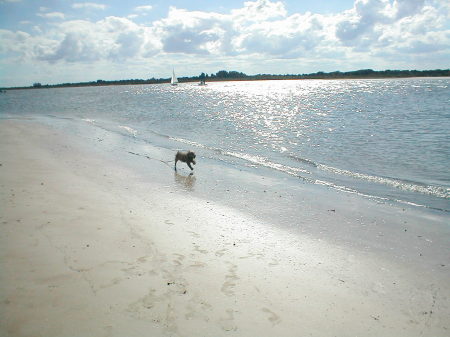 Ponce Inlet Florida