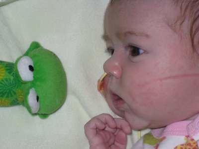 Mirabel and Frog