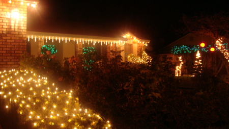 Christmas lights on our house