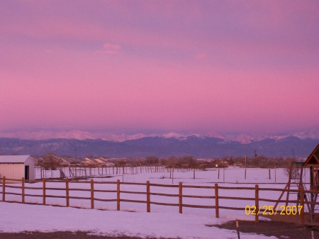 Beautiful sunrise from my backyard.