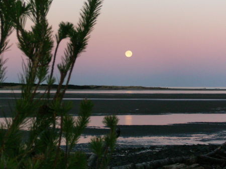 Moon set over the keys