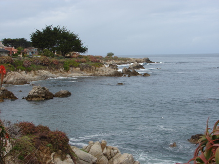 Montery/Pacific Grove