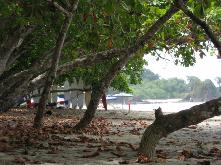 One of the beaches at Manuel Antonio