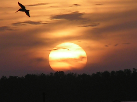 Sunset in refuge