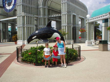 sea world 030