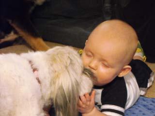 Grandson Aaron and grandpuppy Lucie