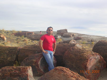 A visit to AZs' Petrified Forest