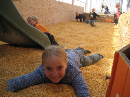 Savanna in the corn play land