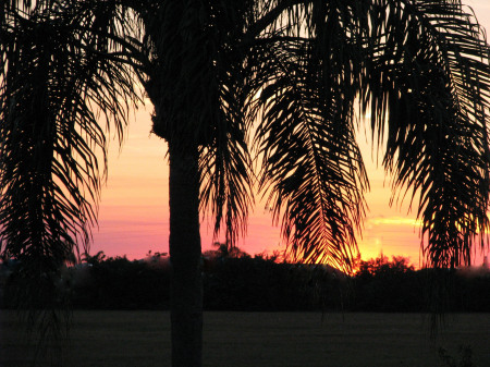 Evening Sky in Punta Gorda, FL