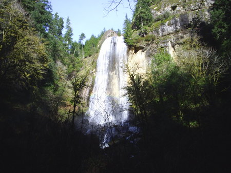 Allegany Falls