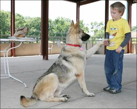 Jack and Rin Tin Tin