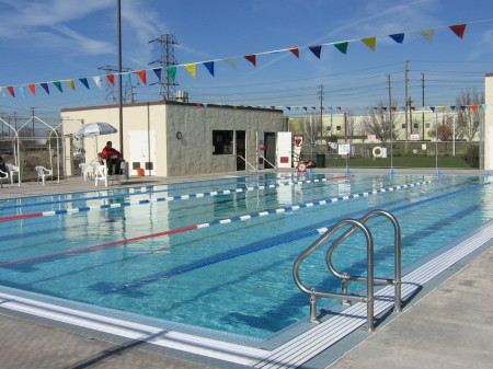 My offices - In the pool and out.