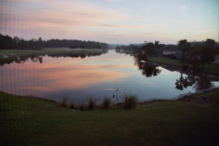 Good Morning Back Yard.