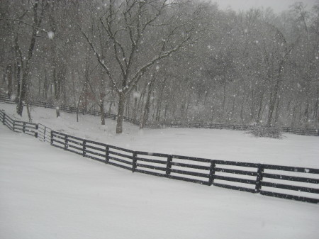 Winter at my house Jan 2009
