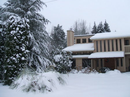 Snowy Christmas in Washington State