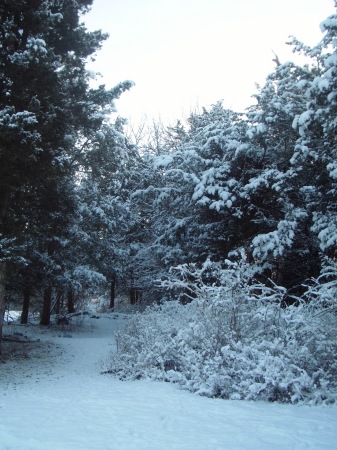 Frosty path