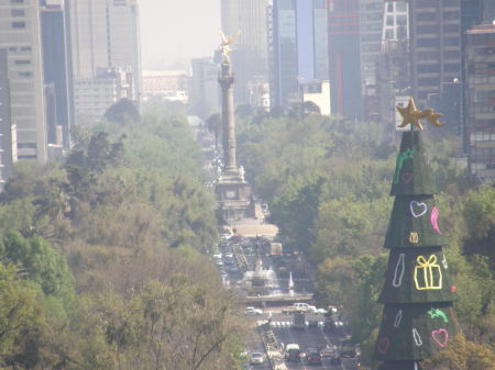 Ave. Reforma