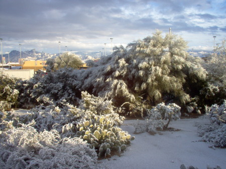 Snow Day Robb Wash, Tucson, AZ