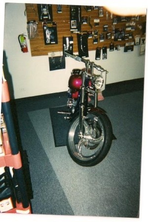 This is ONE of the Harleys i built.