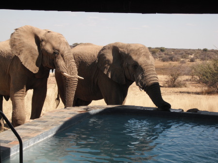 Linda Callais' album, Namibia Africa