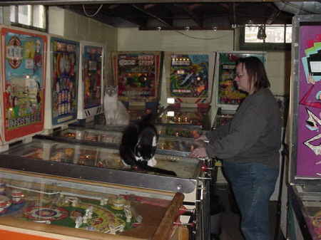 My wife playing pinball with some help