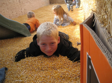 David in the corn play land