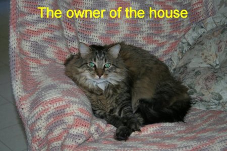 the owner of the house