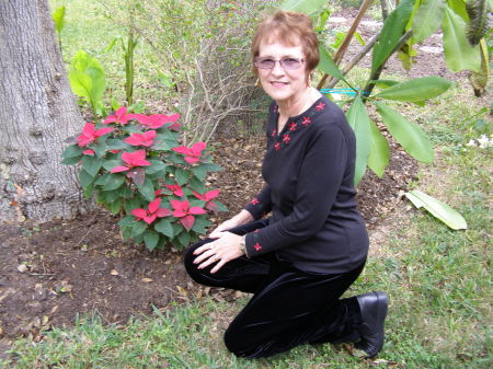 cayenne n flowers dec08 009