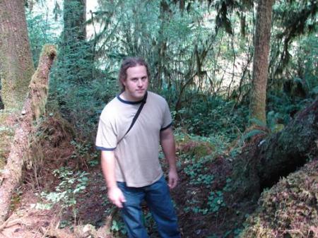 Quinault Rainforest Washington State