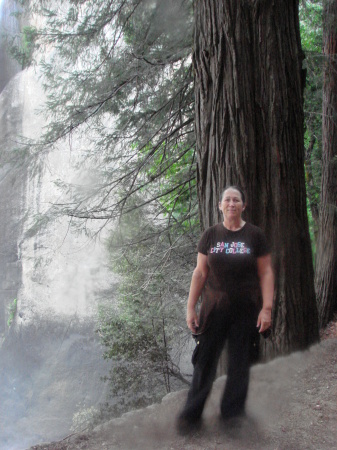 Vernal Falls 2007 - Yosemite Nat'l Park