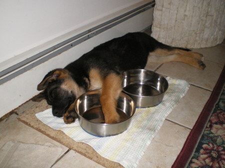 Hailie as a baby, all tired out...