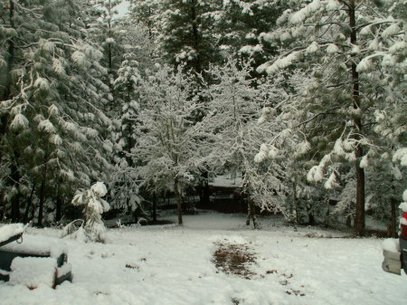 snow in front yard